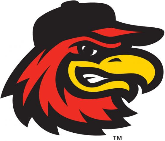 Rochester Red Wings 2014-Pres Alternate Logo v3 iron on transfers for clothing